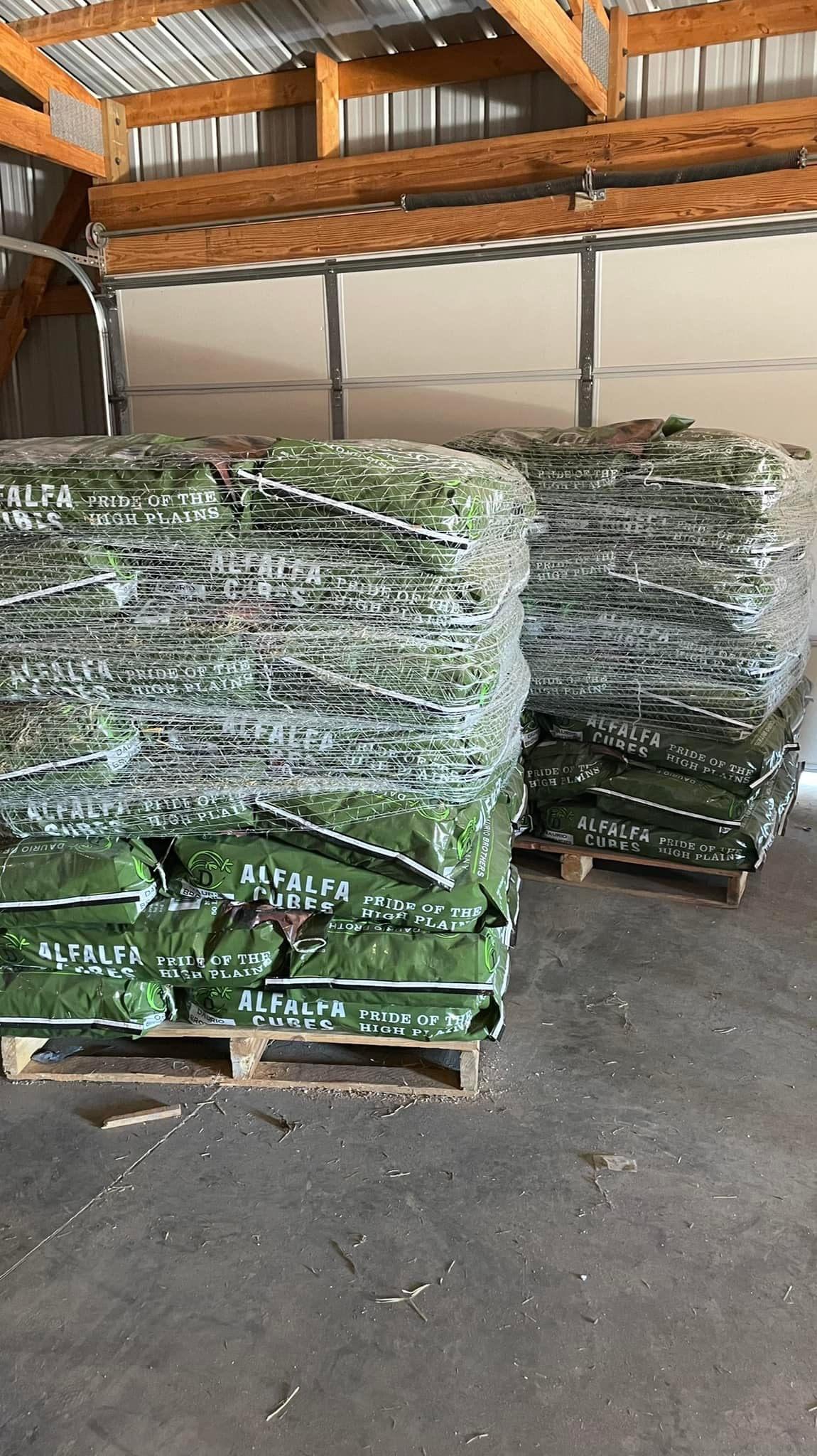 Hay alternatives for horses Clarity Equine Nutrition